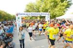 fotos-2011_77.jpg