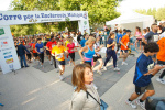 fotos-2011_82.jpg