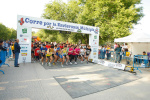 fotos-2011_88.jpg