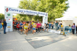 fotos-2011_89.jpg
