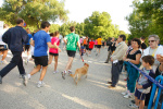 fotos-2011_96.jpg