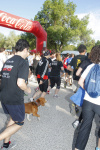 fotos 2012_54.jpg