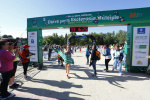 fotos 2014_135.jpg